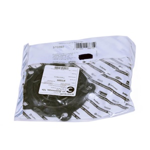 картинка Прокладка уплотнительная ТЭНа водонагревателя в Сервисном центре «Близнецов»