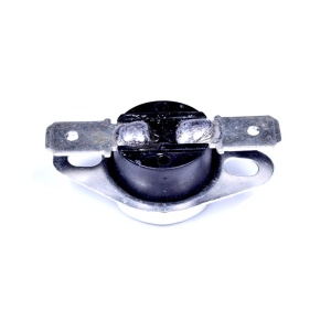 картинка Термостат защитный маслонаполненного радиатора в Сервисном центре «Близнецов»