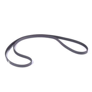 картинка Ремень приводной "1230 J5" стиральной машины в Сервисном центре «Близнецов»