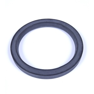 картинка Прокладка уплотнительная ТЭНа водонагревателя в Сервисном центре «Близнецов»