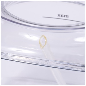 картинка Канистра для воды утюга в Сервисном центре «Близнецов»